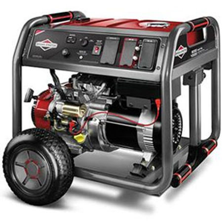 Picture for category Briggs & Stratton-324
