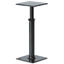 Picture of Stromberg Carlson Stabil-Step 8"-13-1/2" Black Entry Step Stabilizer JSS-7 04-0174                                           