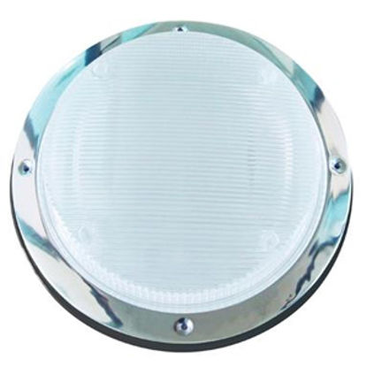 Picture of Starlights  Clear Round Scare Light 016-RSL2000B 18-0013                                                                     