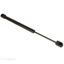 Picture of RV Designer  12" 30# Gas Spring G4 20-1174                                                                                   