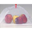 Picture of Coghlan's  Nylon 13"W x 13"L Umbrella Type Food Cover 8623 69-0724                                                           